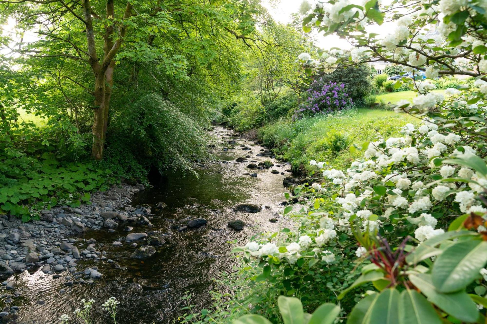 Off-Grid Relaxing Getaway At The Captain'S Rest Clachan of Campsie Exteriör bild